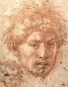 Andrea del Sarto Head of a Young Man Sweden oil painting artist